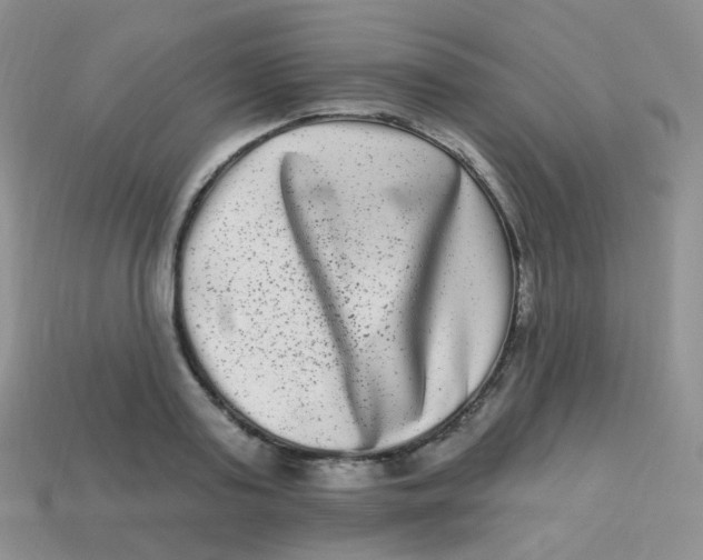 X0000113270795200910081359