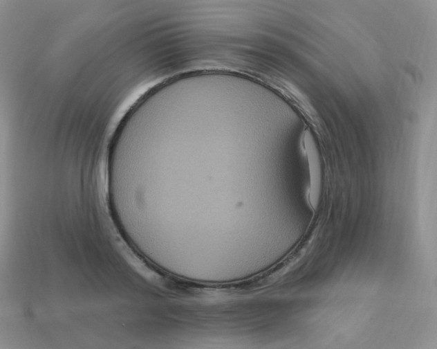 X0000113270796200910081359