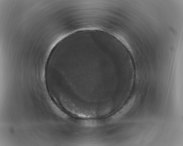 X0000113270797200910081359