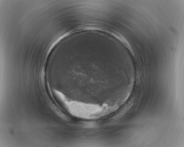 X0000113270798200910081359