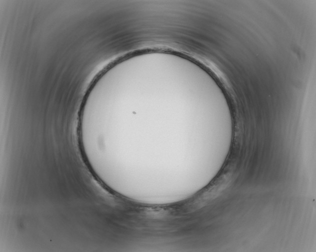 X0000113270799200910081359