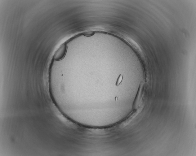 X0000113270800200910081359