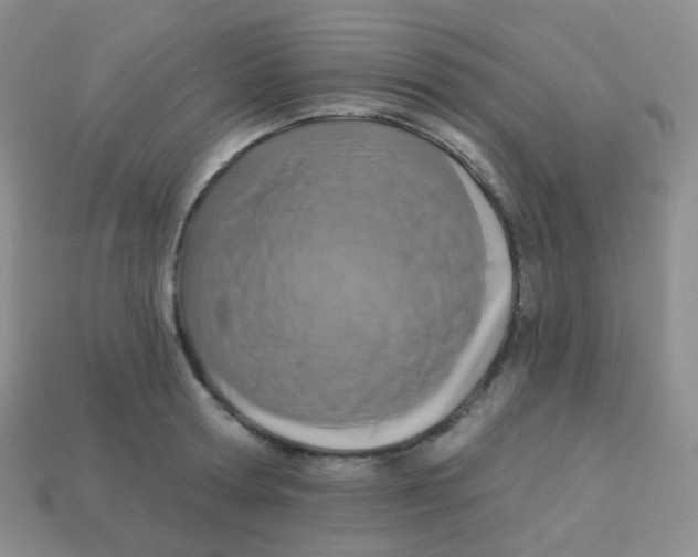 X0000113270802200910081359