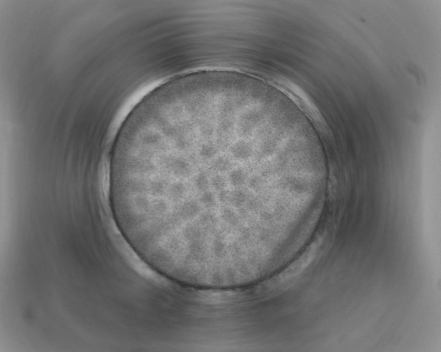 X0000113270804200910081359