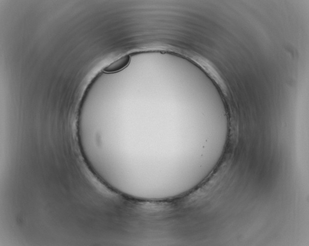 X0000113270805200910081359