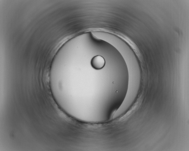 X0000113270809200910081359