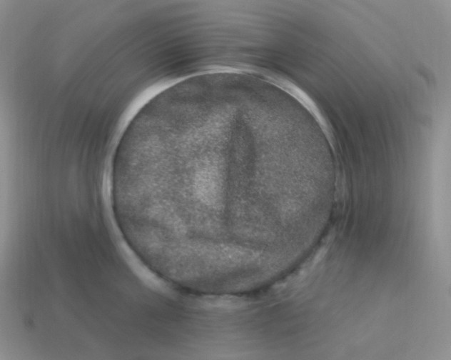 X0000113270811200910081359