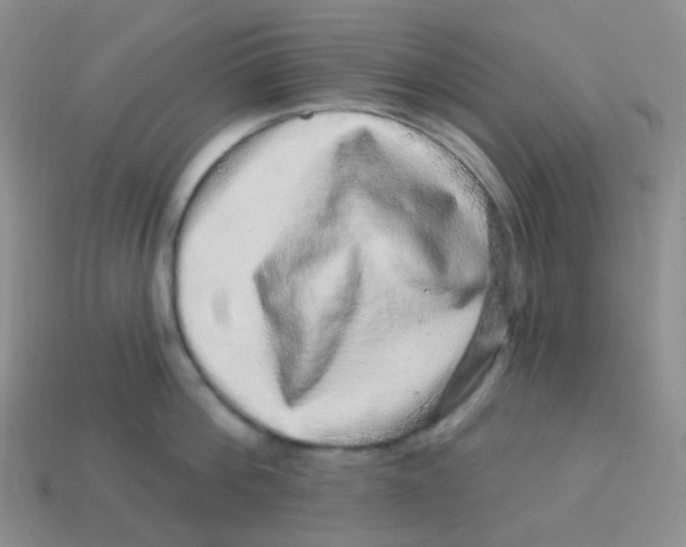 X0000113270812200910081359