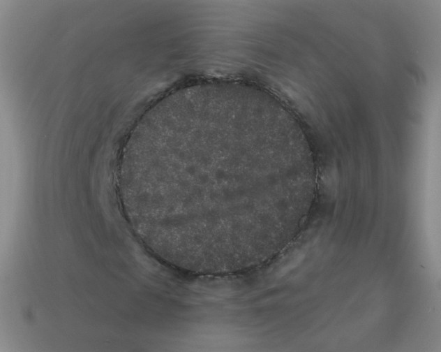 X0000113270817200910081358