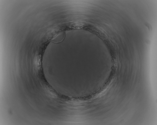 X0000113270818200910081358