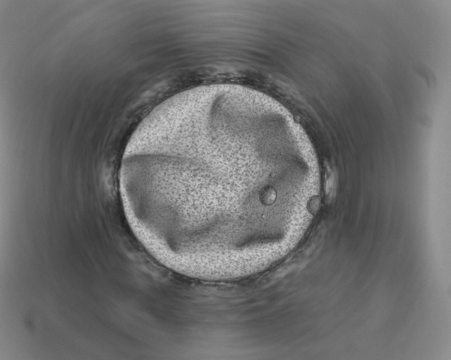 X0000113270819200910081358