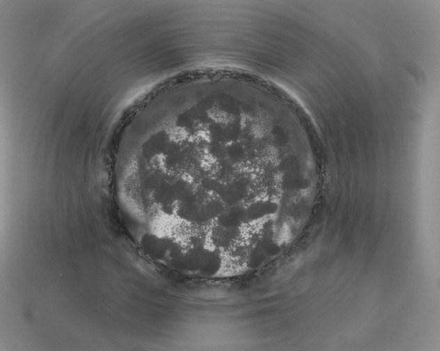 X0000113270823200910081358