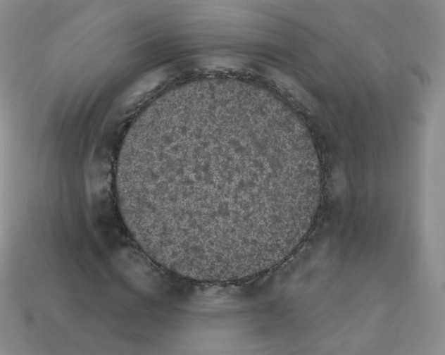 X0000113270824200910081358