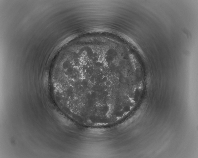 X0000113270825200910081358