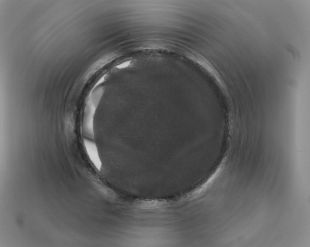 X0000113270826200910081358