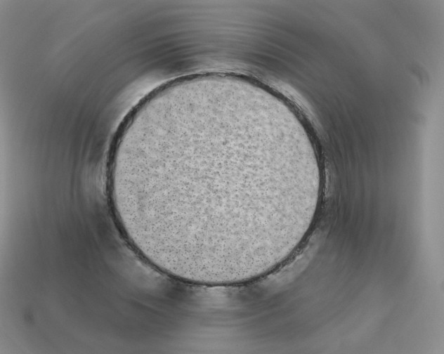 X0000113270828200910081358