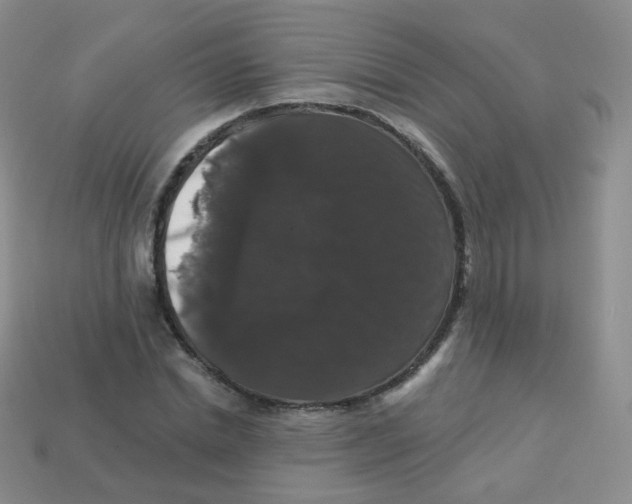 X0000113270830200910081358