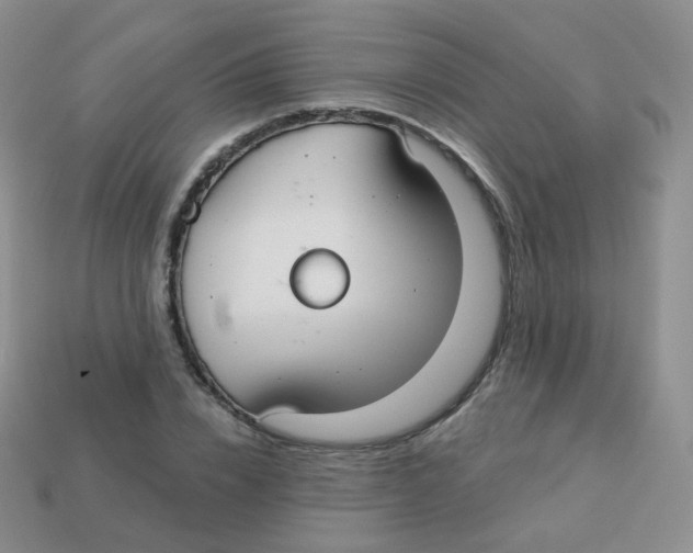 X0000113270832200910081359