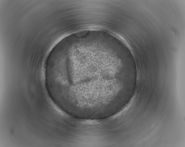 X0000113270835200910081359