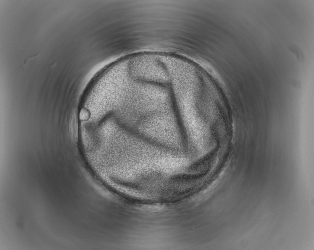 X0000113270838200910081359