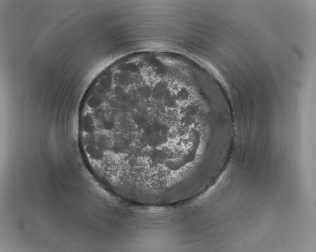 X0000113270839200910081359