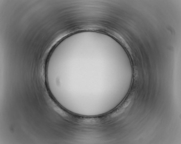 X0000113270843200910081359