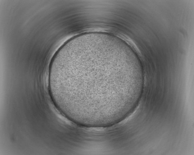 X0000113270844200910081359