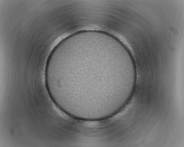 X0000113270845200910081359