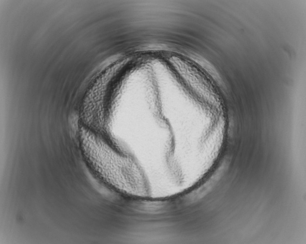 X0000113270849200910081359