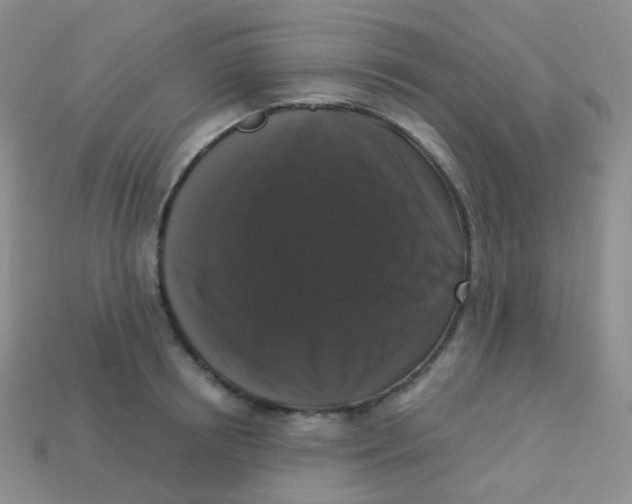 X0000113270850200910081359