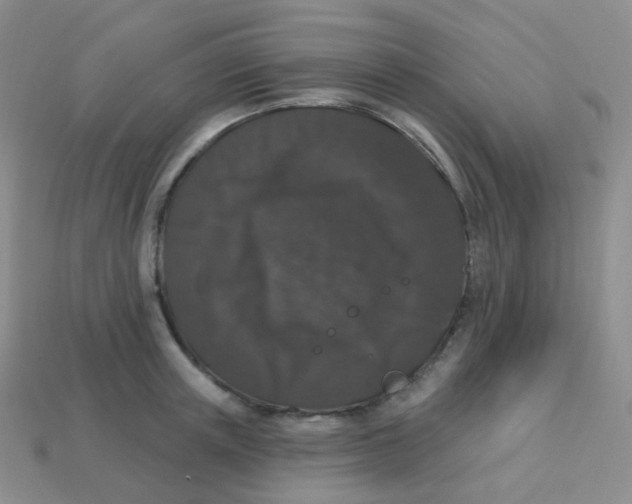 X0000113270851200910081359