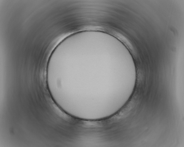 X0000113270852200910081359