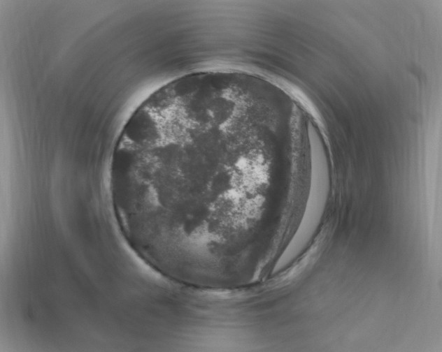 X0000113270855200910081359