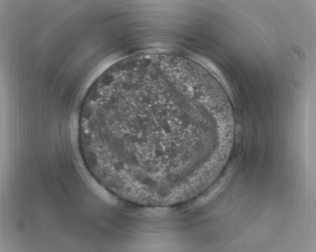 X0000113270859200910081359