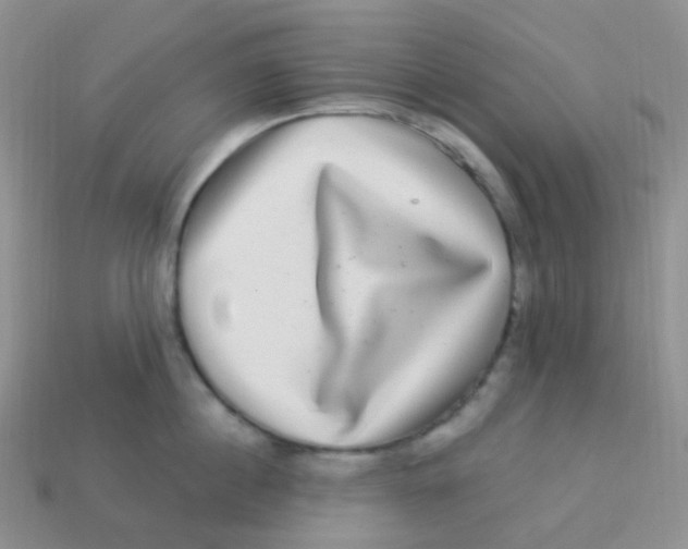 X0000113270860200910081359