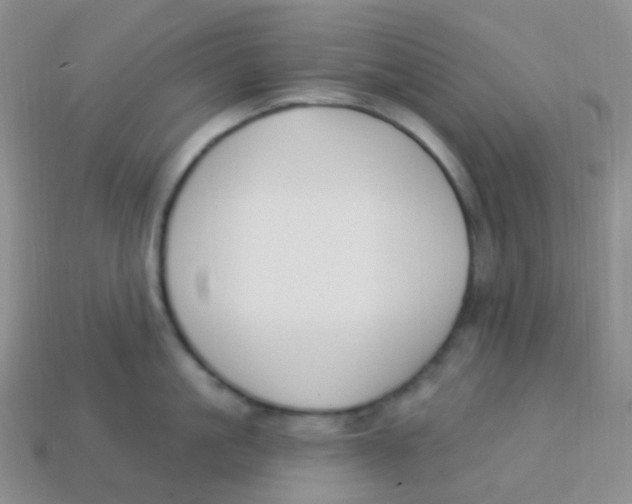 X0000113270861200910081359