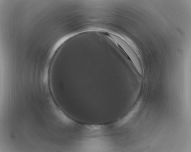 X0000113270862200910081359