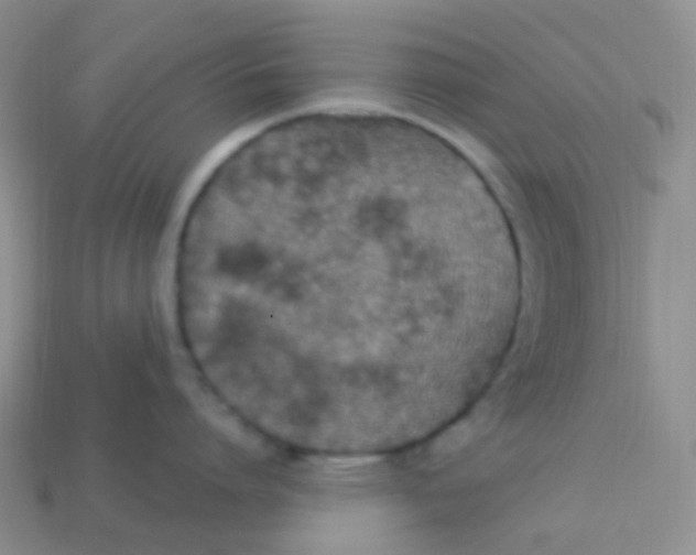 X0000113270864200910081359