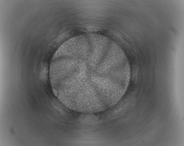 X0000113270866200910081358