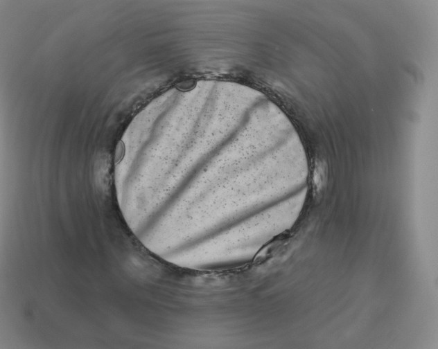 X0000113270867200910081358