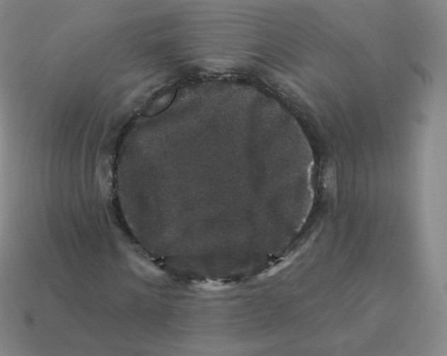 X0000113270868200910081358