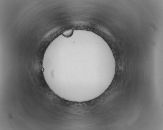 X0000113270869200910081358