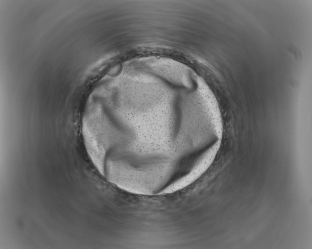 X0000113270870200910081358