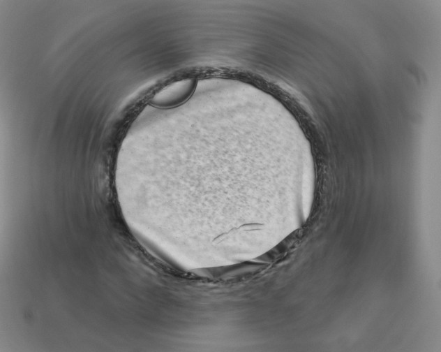 X0000113270872200910081358