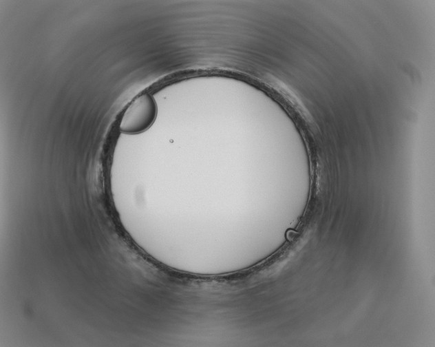 X0000113270876200910081358