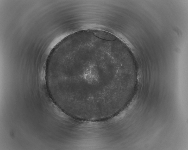 X0000113270877200910081358