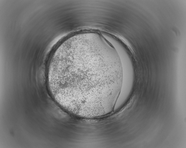 X0000113270878200910081358