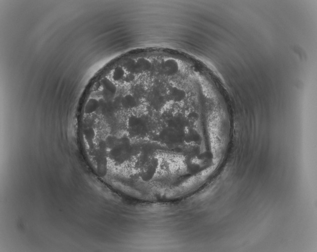 X0000113270879200910081358