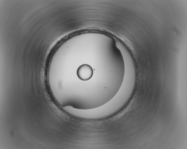 X0000113270880200910081358