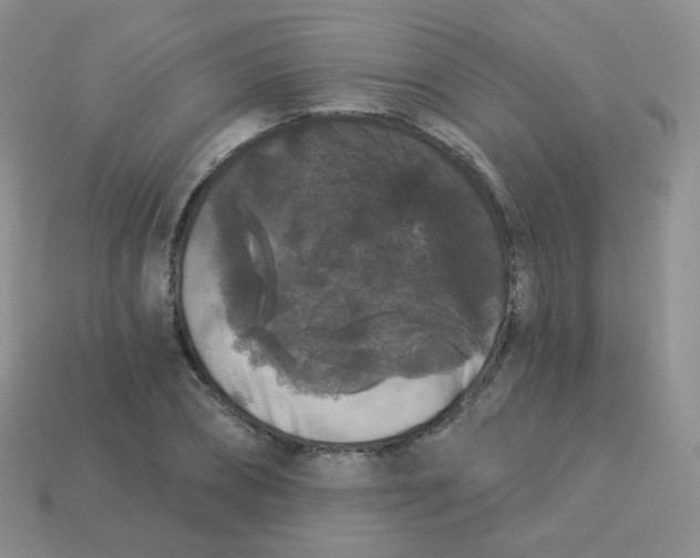 X0000113270882200910081358